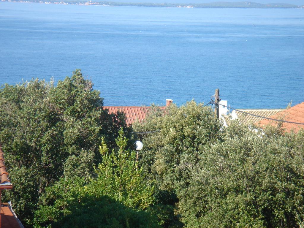 Villa Laurus Kožino Exteriör bild