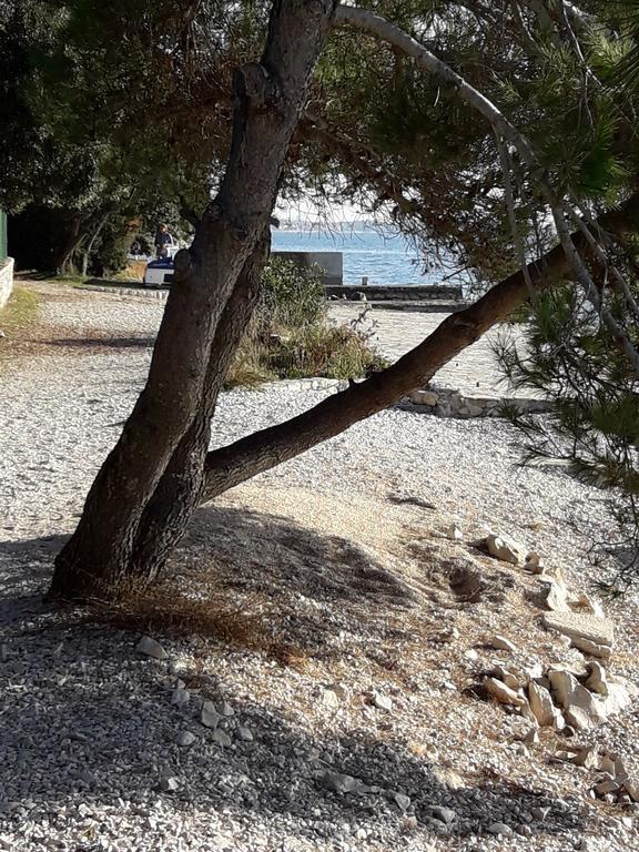 Villa Laurus Kožino Exteriör bild
